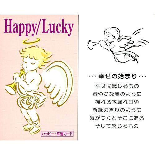 アマゾナイト幸せブレスレット ハッピー 幸運カード付き 再入荷❣️夢や希望、幸運を呼ぶ✨☆アマゾナイト☆ブレスレット Happy Amulet 誕生石ブレス 12月 アクア