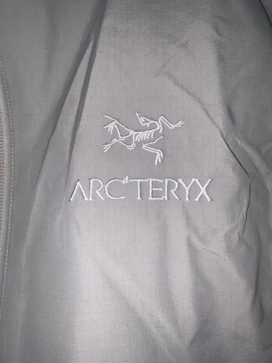 ARC TERYX アークテリクス ZETA SL リップ クロム トゥー