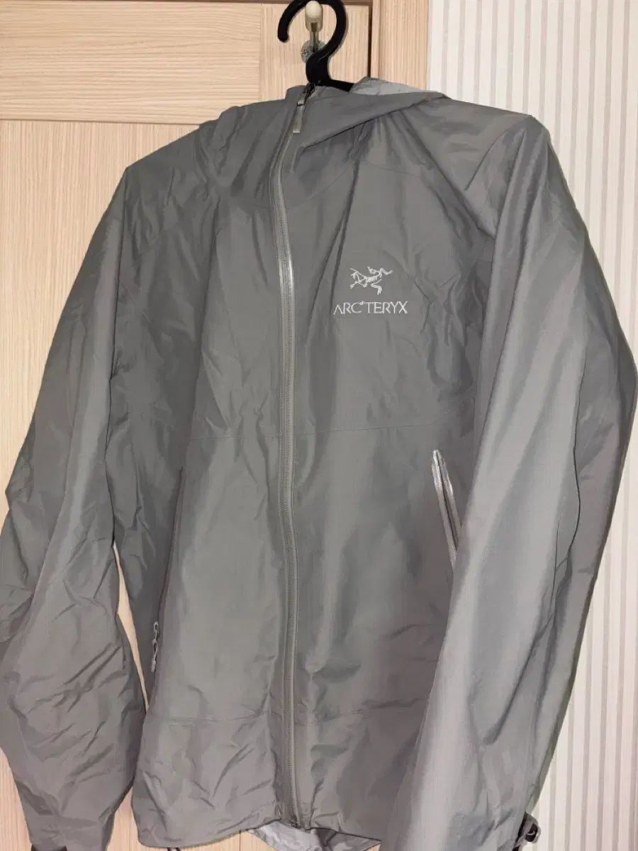 ARC TERYX アークテリクス ZETA SL リップ クロム トゥー