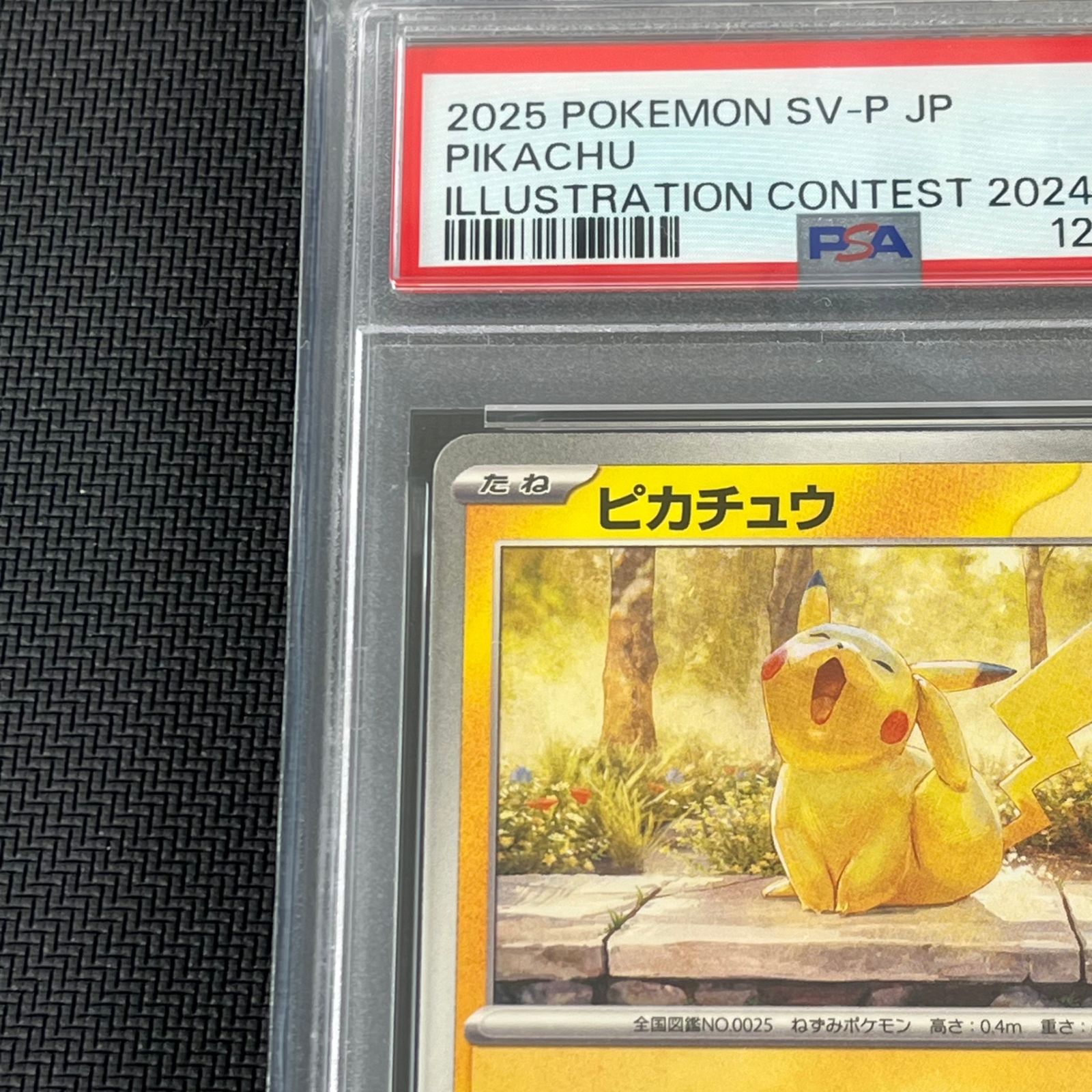 PSA10 ポケカ ピカチュウ PROMO プロモ 242/SV-P illustration contest