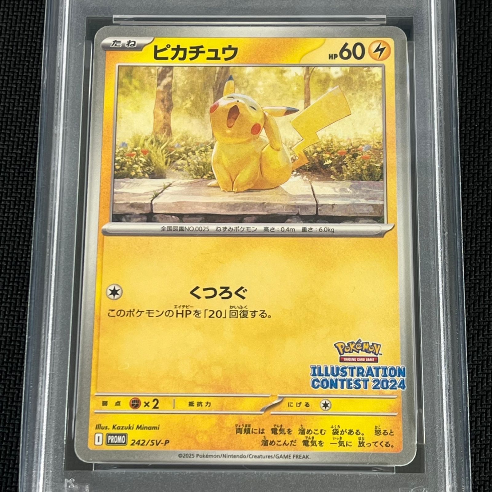 PSA10 ポケカ ピカチュウ PROMO プロモ 242/SV-P illustration contest