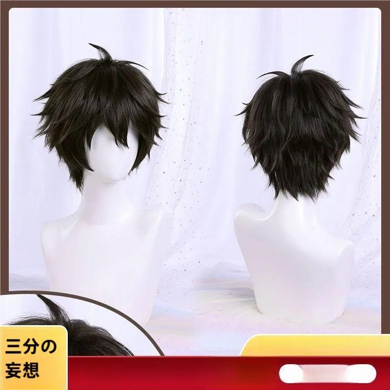 新品、未使用 三分妄想 崩壊：スターレイル 丹恒 コスプレウィッグ