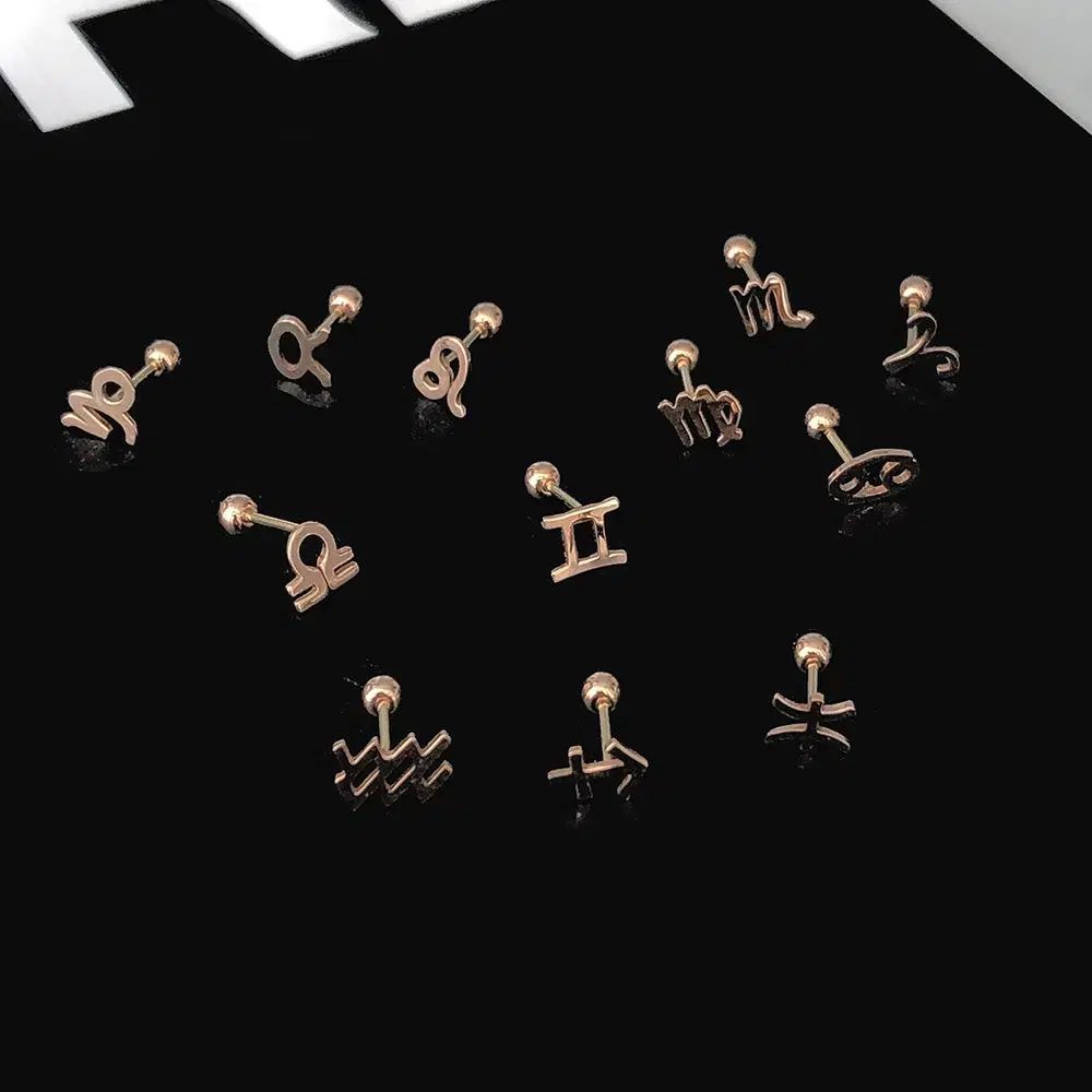  14 k 18 稼ごう 象形文字 ピアス ピアス アクセサリー