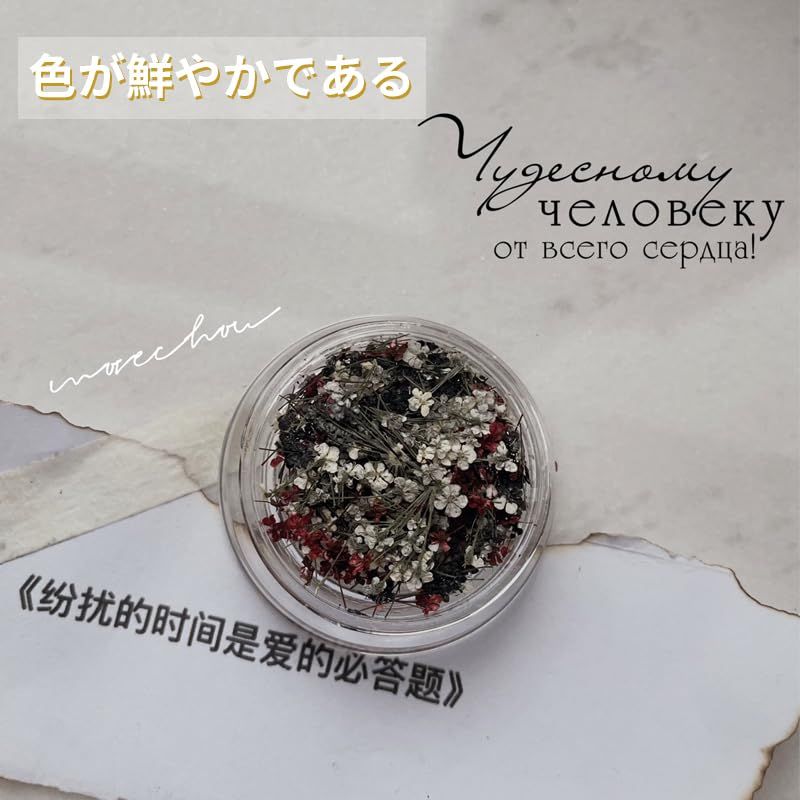 デコパーツ 花 工房 レジン用 用品 押し花 ネイルパーツ 美甲 ドライ