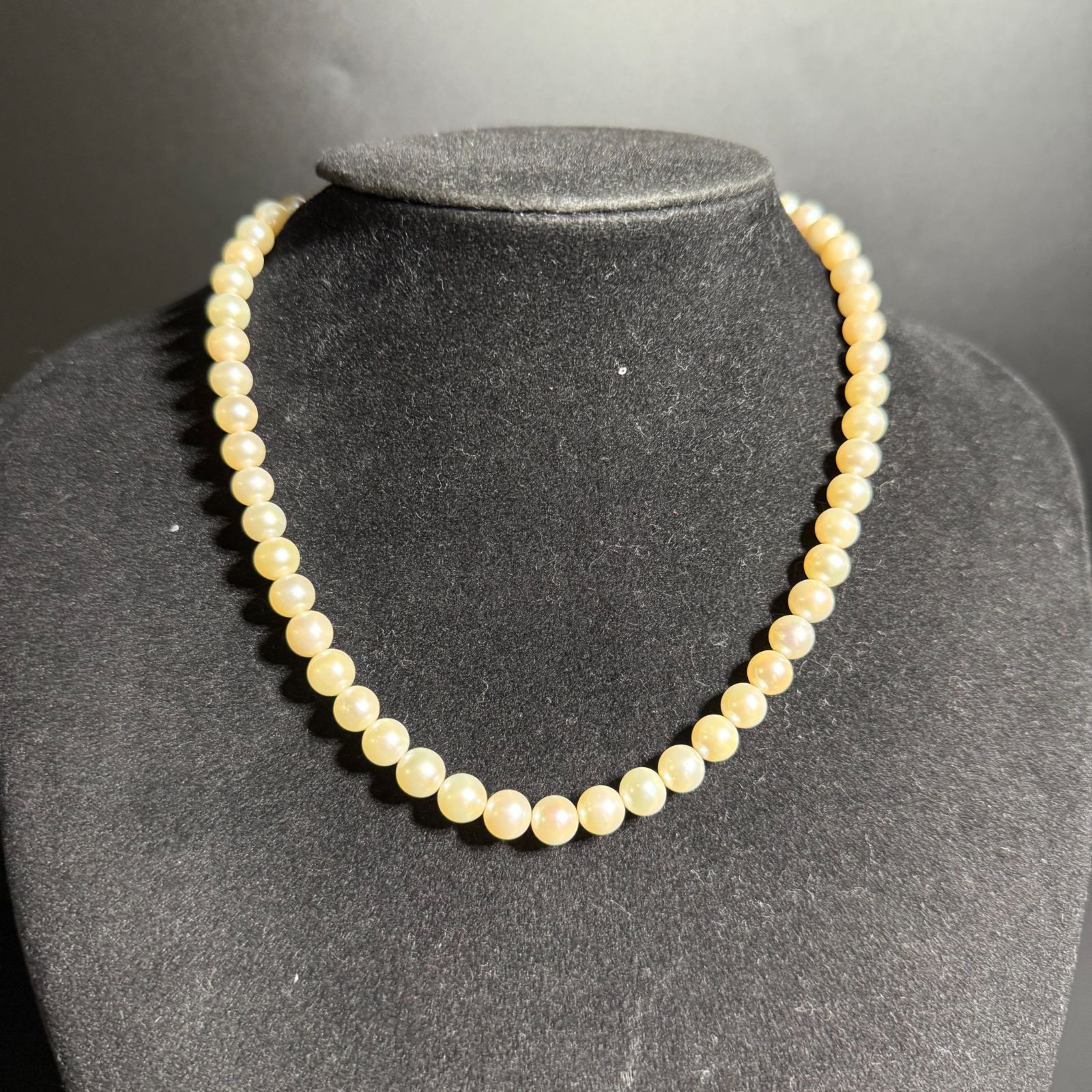 パール ネックレスシルバー留め具23.4 6.6 mm