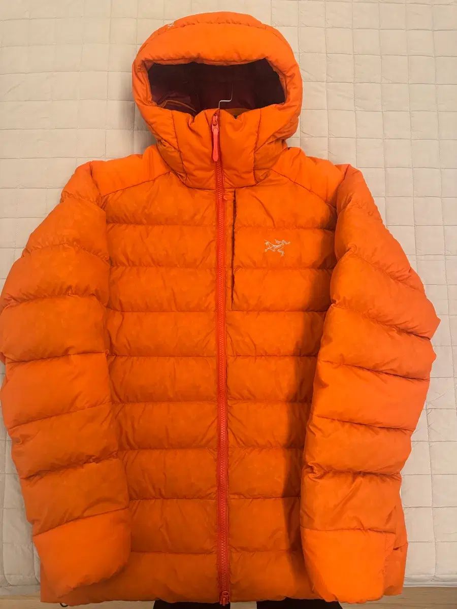 ARC TERYX アークテリクス トー トゥー リウム フー WHO ディ フェノム L