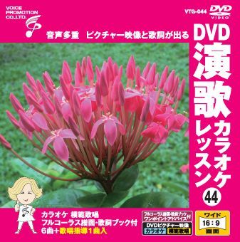 音声多重DVD 演歌カラオケレッスン044（VTG-044） - メルカリ
