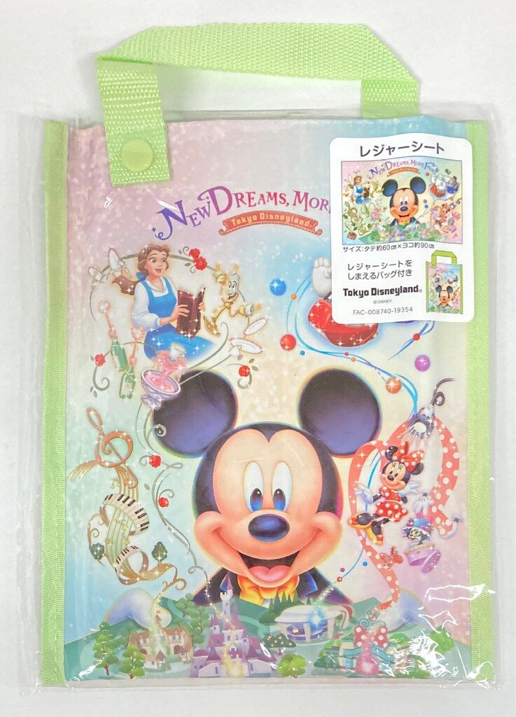 東京ディズニーランド レジャーシート しまえるバッグ付 NEW DREAMS