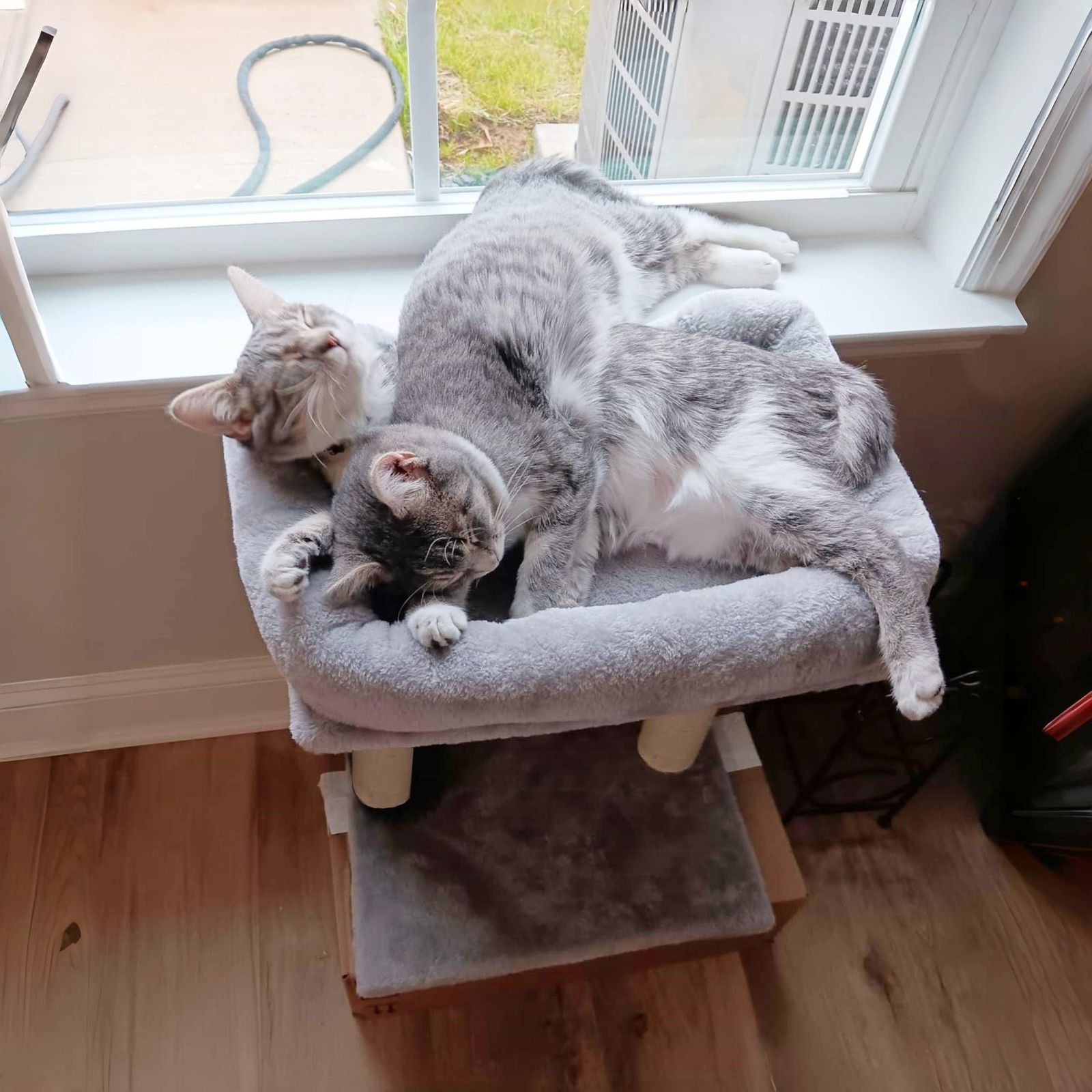 キャットツリー ミニ 猫タワー 低め 小型 スリム 据え置き 猫ハウス 猫 爪とぎ 天然麻紐 省スペース