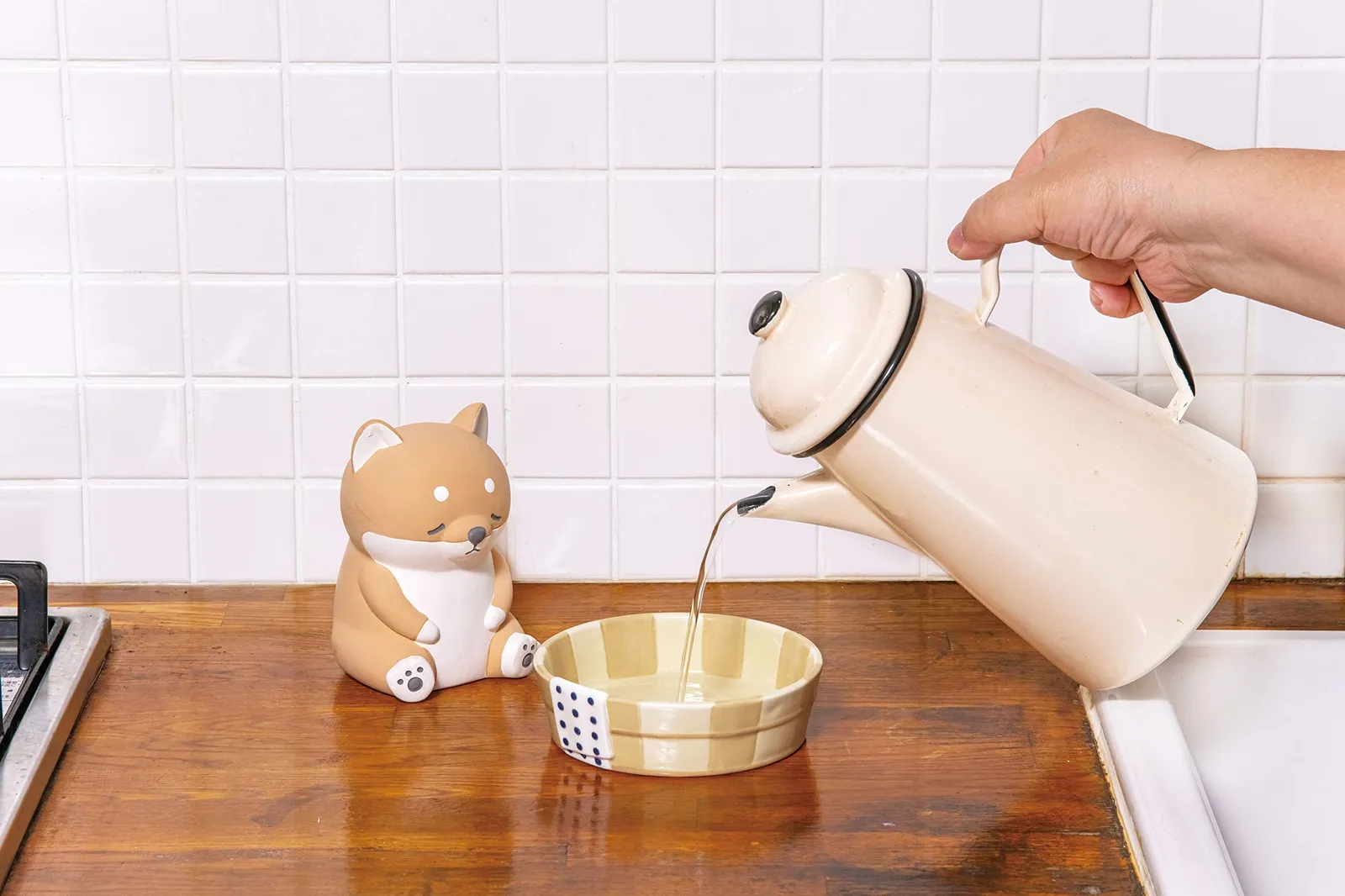 芝犬です。 りぶはあと 素焼き加湿器 銭湯 ねむねむアニマルズ 柴犬のコタロウ