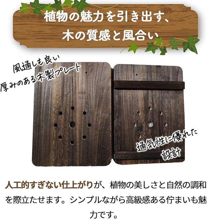 nijimomo 着生板 コウモリラン ビカクシダ 壁掛けプレート 天然木 多肉