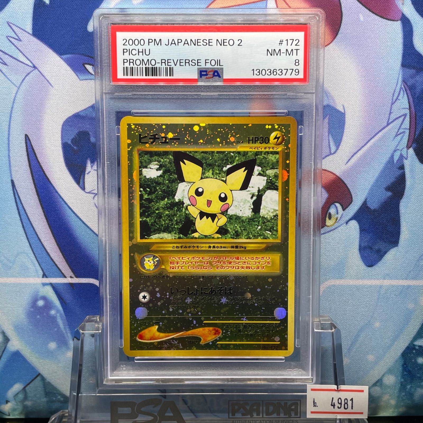 PSA8 ピチュー D 旧裏 NEO プレミアムファイル2 172 2000 - メルカリ