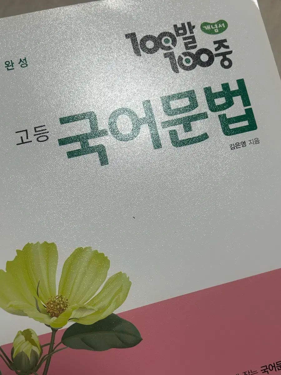 韓国語の重要文型100 100日でネイティブのように話せる韓国語