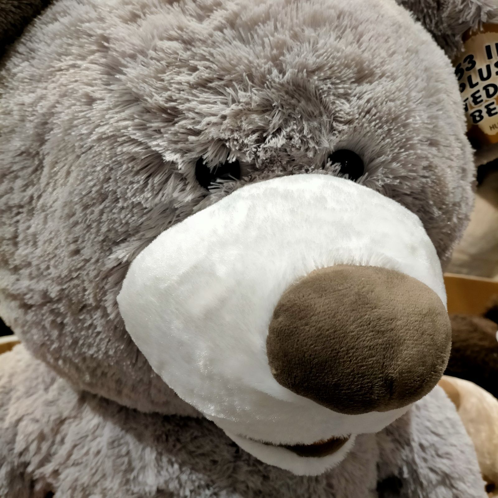 新品 コストコ くま ぬいぐるみ 正規品 大きい 134cm クリスマス 