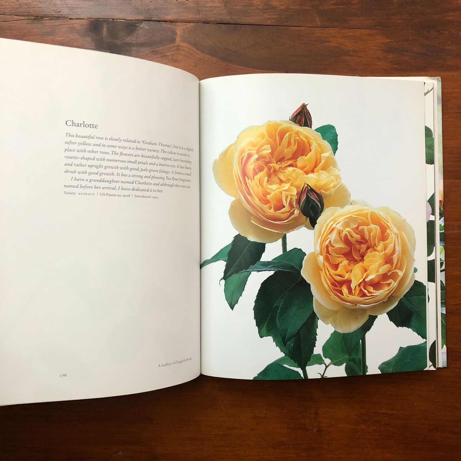 イングリッシュローゼス 英語版 THE ENGLISH ROSES バラの大百科 The