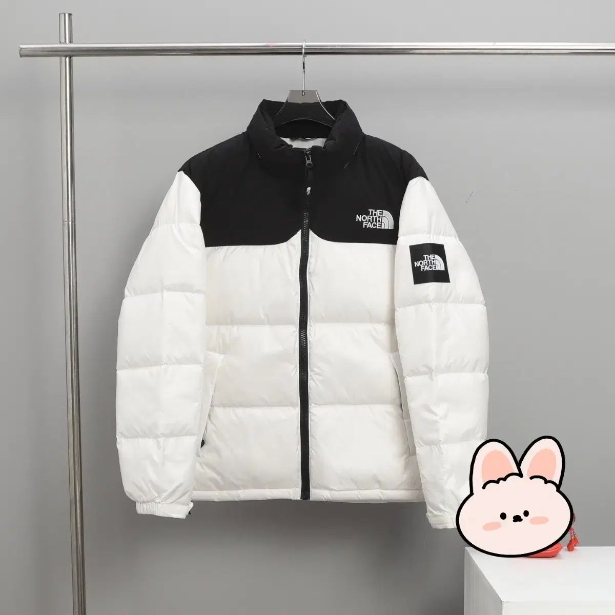 THE NORTH FACE 1996 ダウン
