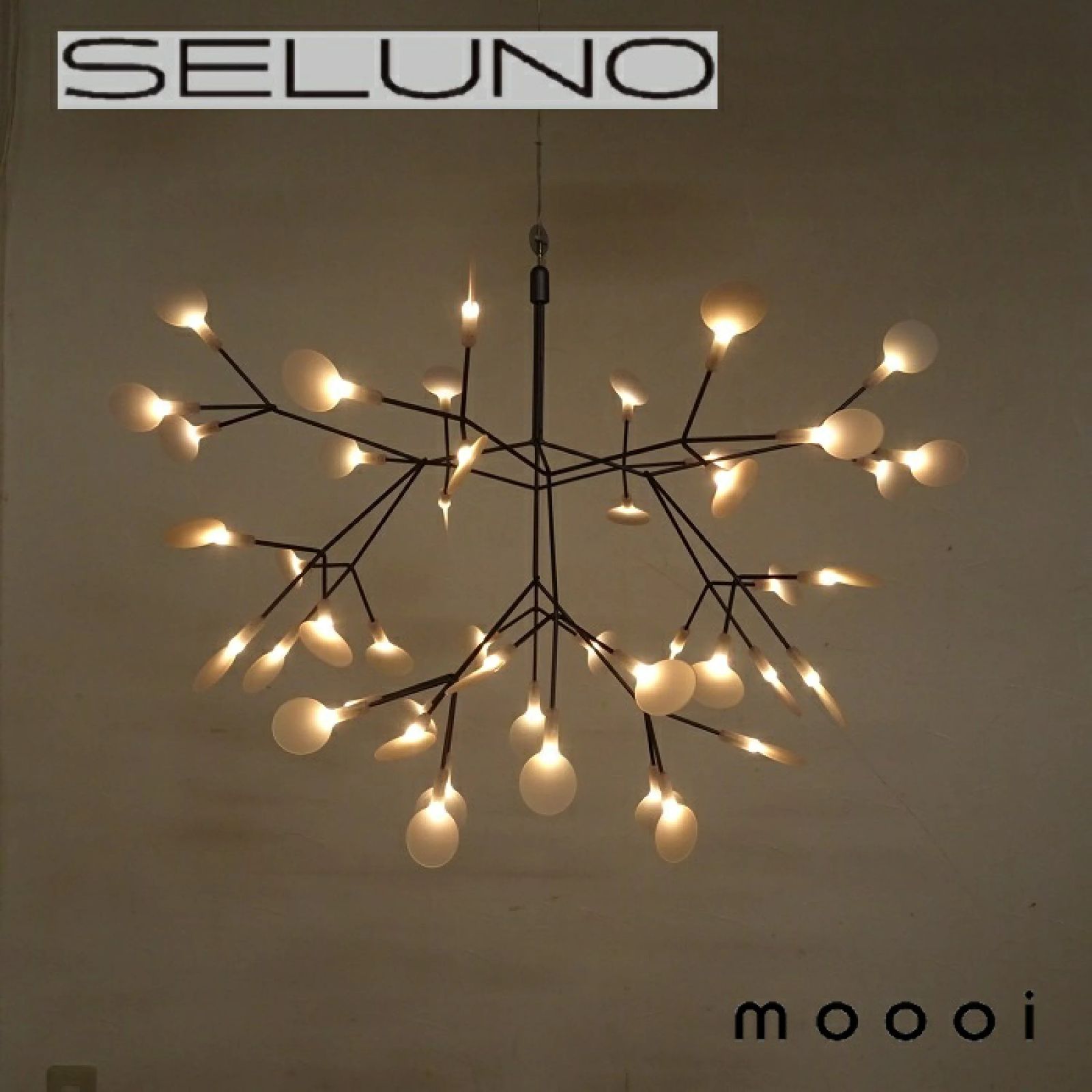 ◾︎SELUNO◾︎ 展示超美品】moooi モーイ Heracleum / ヘラクレウム