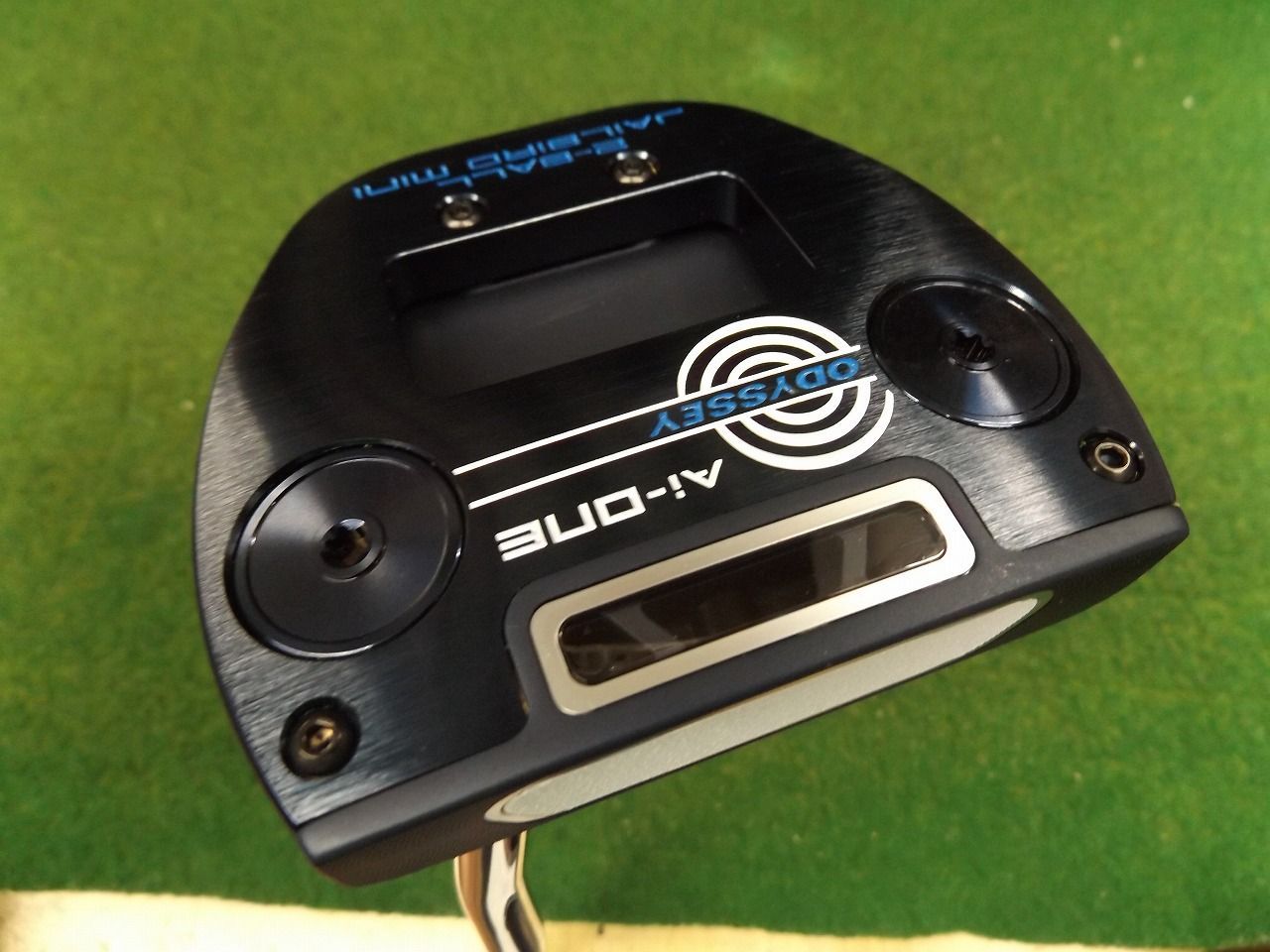 チェアマン 韓国苗 小売