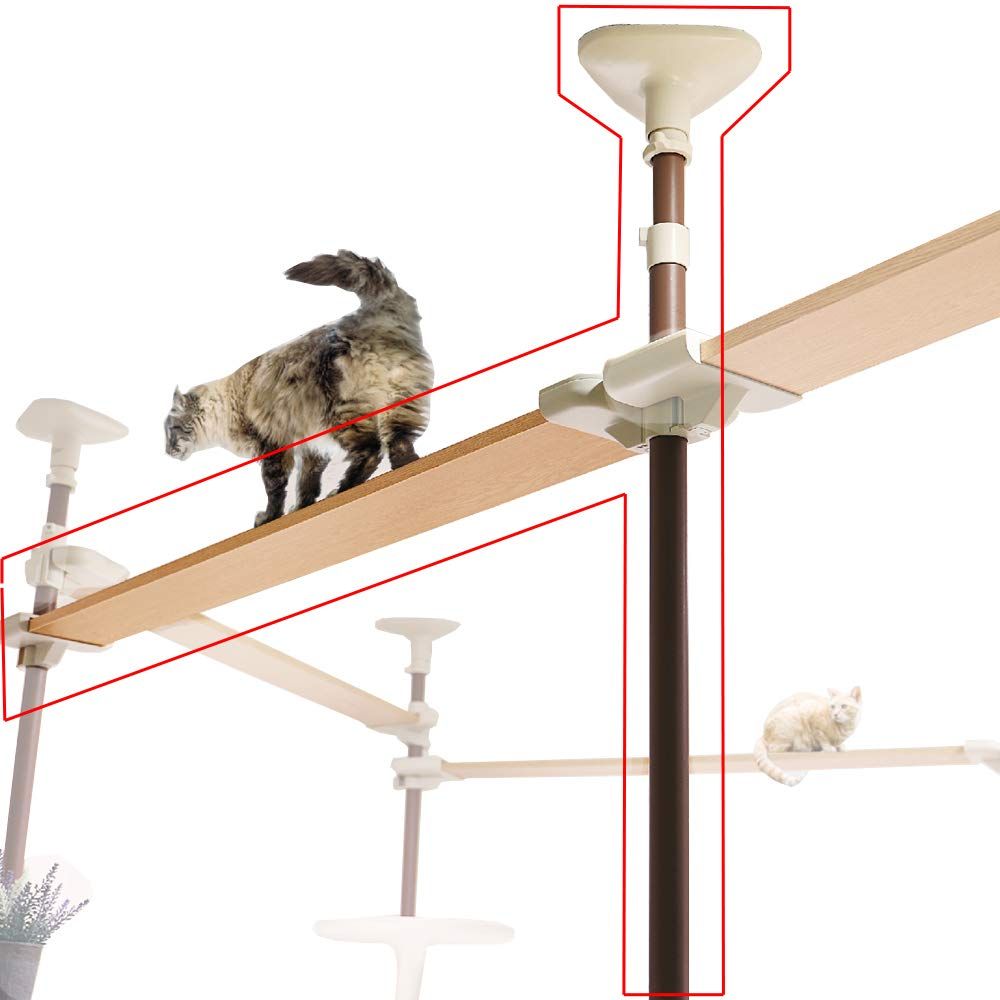 キャティーマン Nｅｋｏリビング キャティ―SKYウォーク