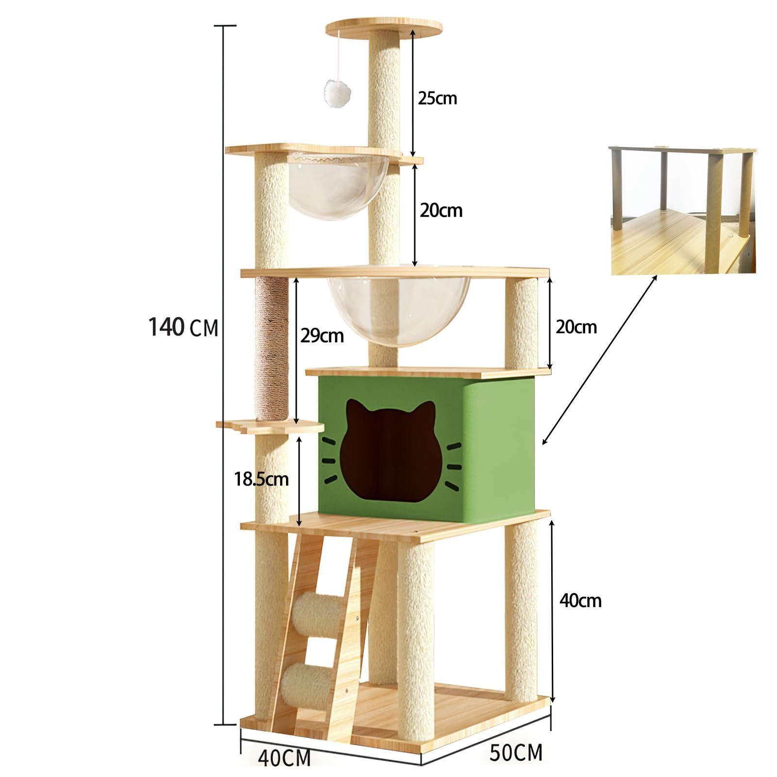 子猫 運動不足解消