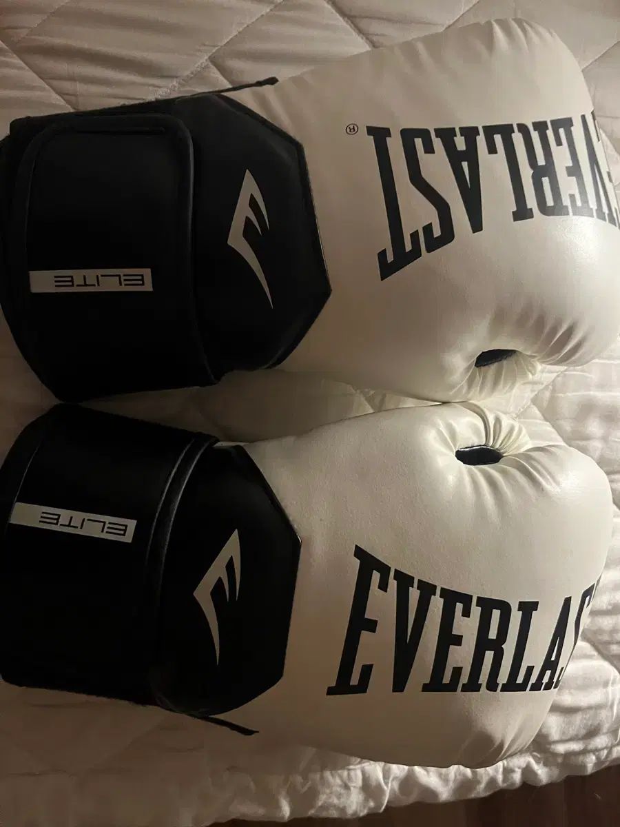 EVERLAST ボクシング グローブ 12オンス 【公式通販】