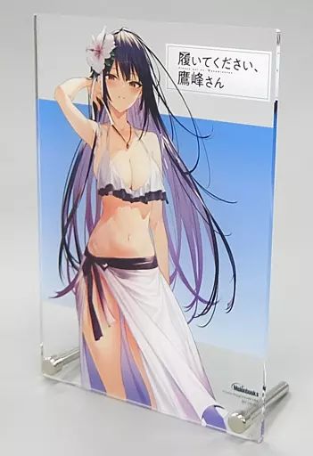 中古】アクリルスタンド・アクリルパネル 鷹峰高嶺 B6アクリルパネル