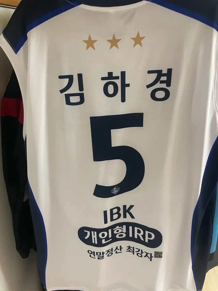 IBKバレーボール団 アセンティック 選手用 キム ハギョン 110