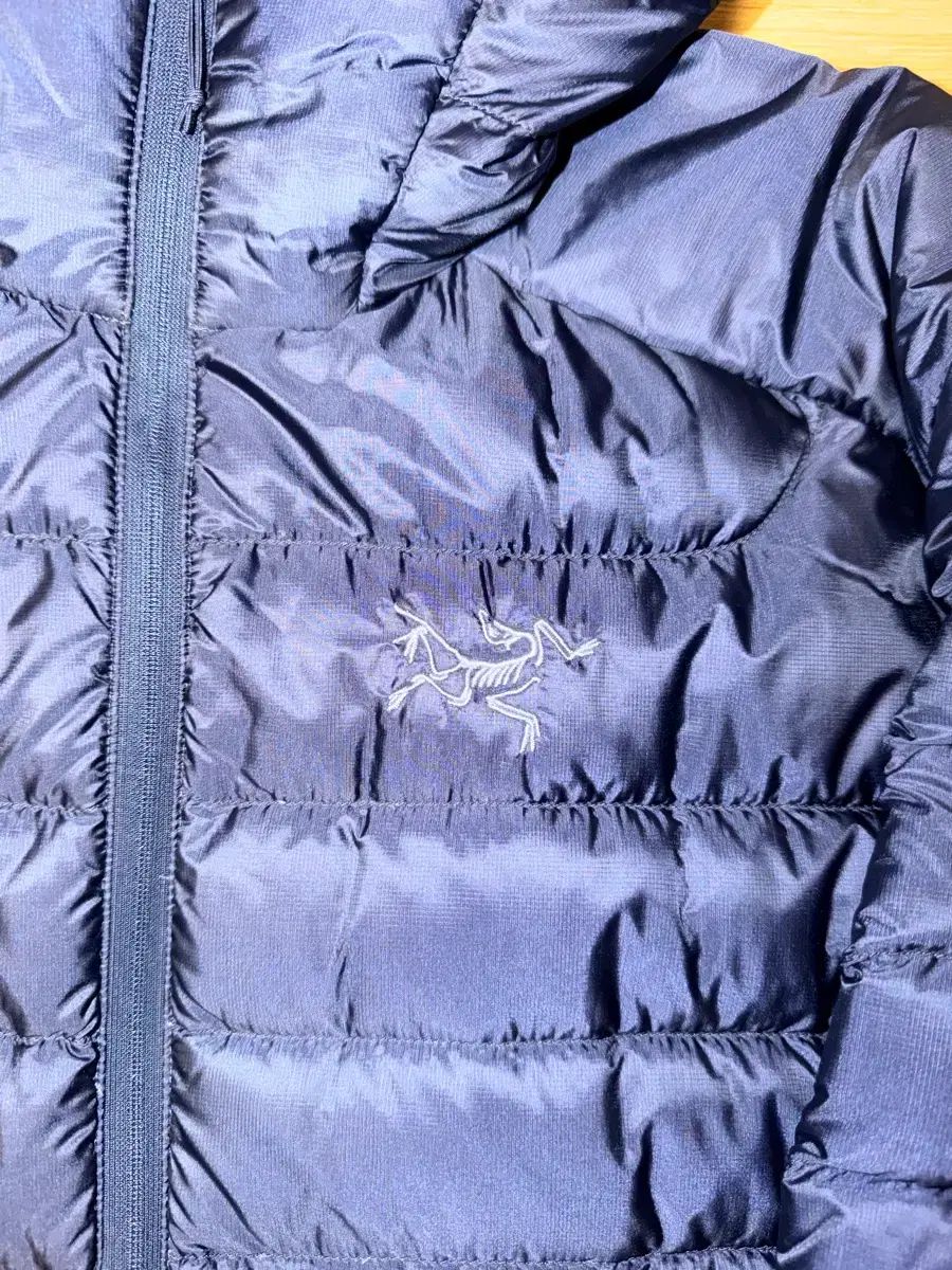 ARC TERYX Cerium LTフーディ メンズ S ネイビー