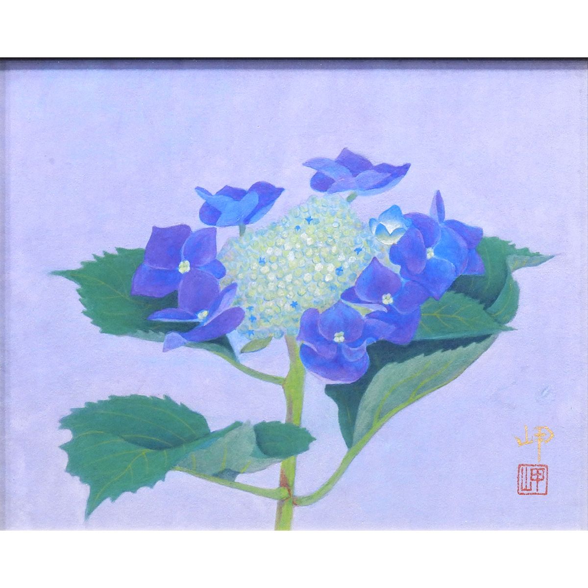 池田岬 がくあじさい 紙本彩色3号 静物画 共シール 花 華 植物 花鳥画