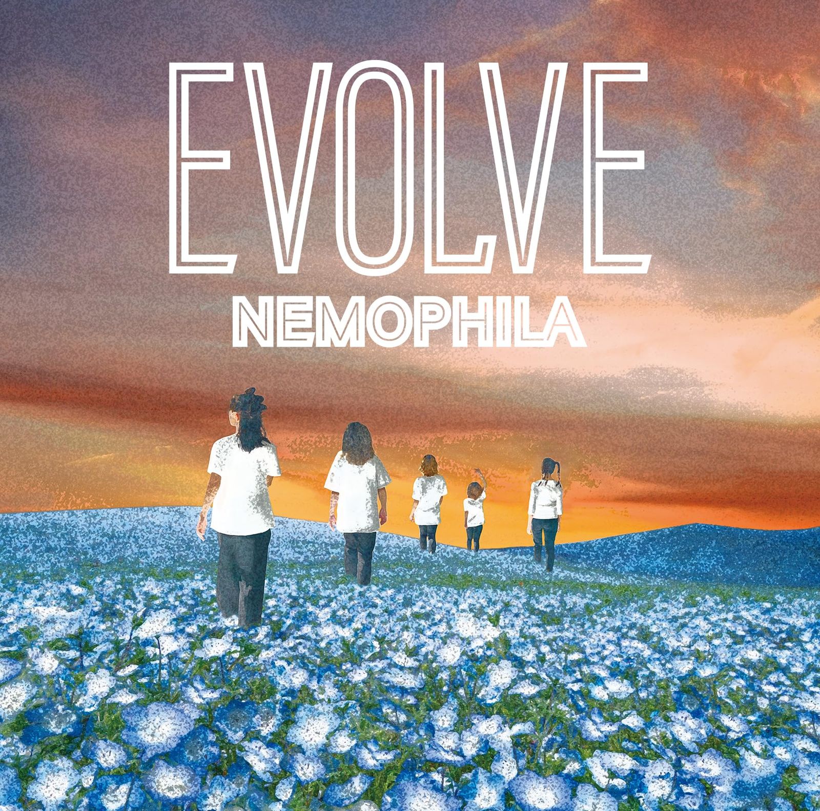 EVOLVE 初回 盤B - NEMOPHILA 品