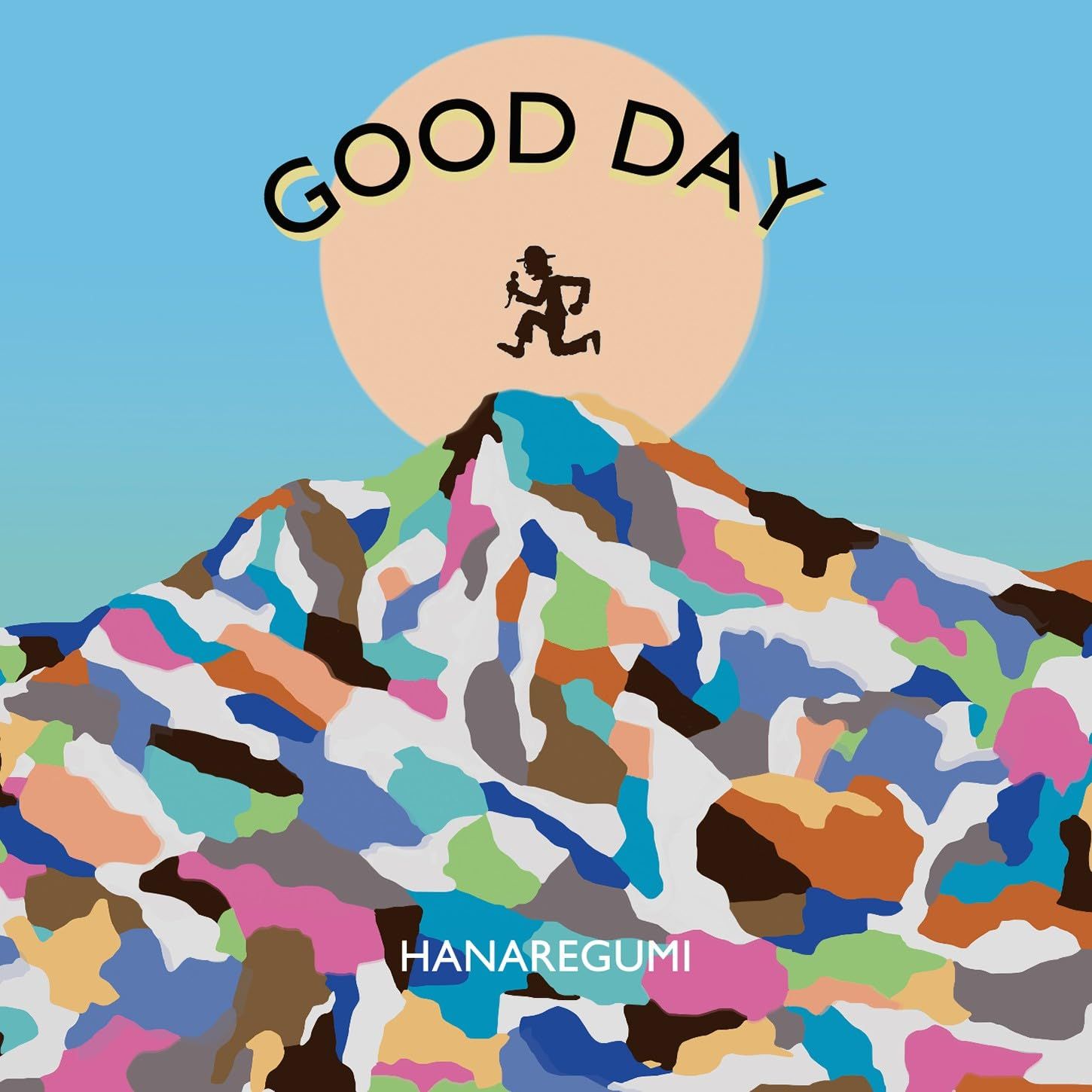 GOOD DAY 初回 盤 ハナレグミ CD DVD 品