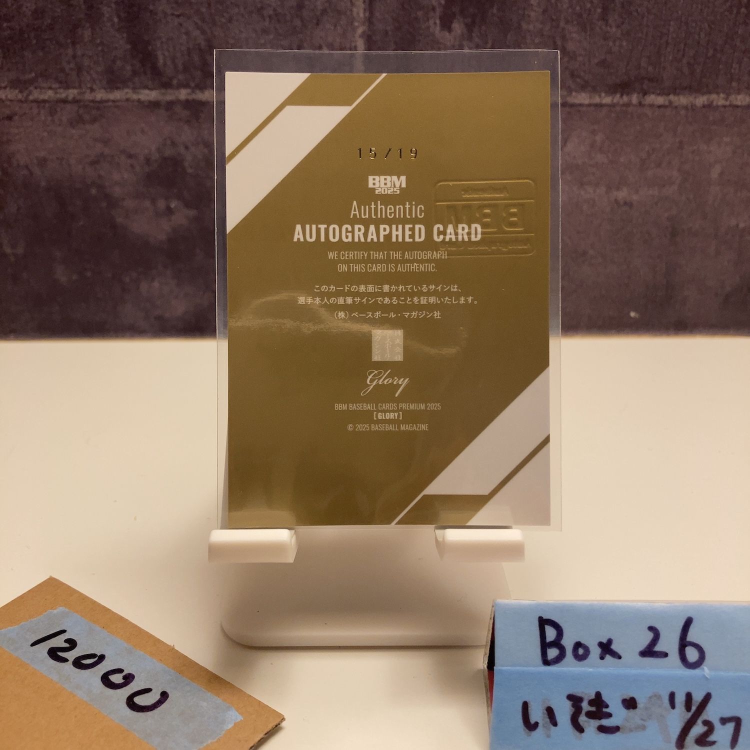 2025 BBM Glory 柳裕也 15 19 直筆サインカード 中日ドラゴンズ カード