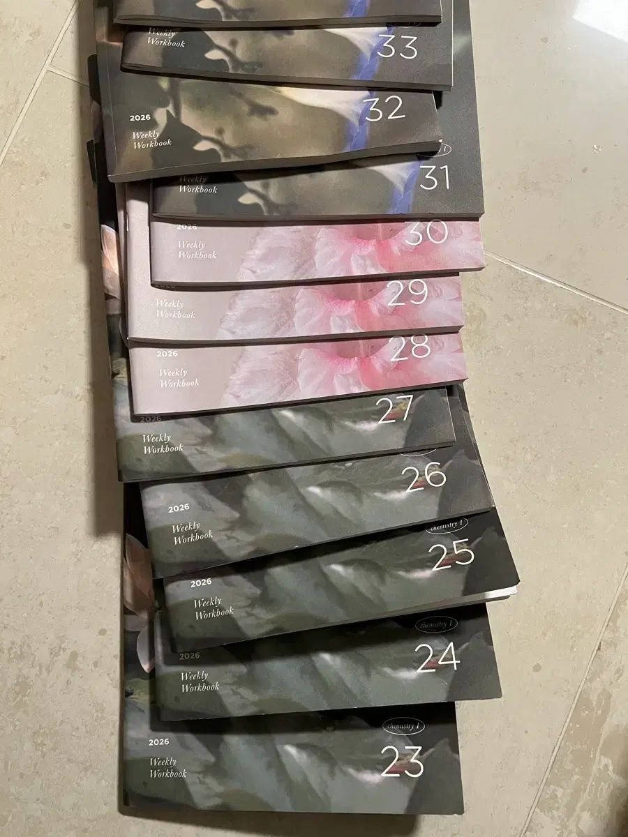 -51 2026 カン ジュノ ファジャジュース 3千円