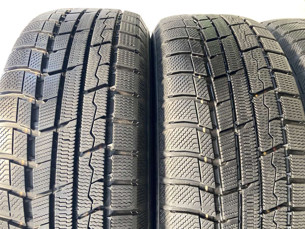 ウィンタートランパス TX