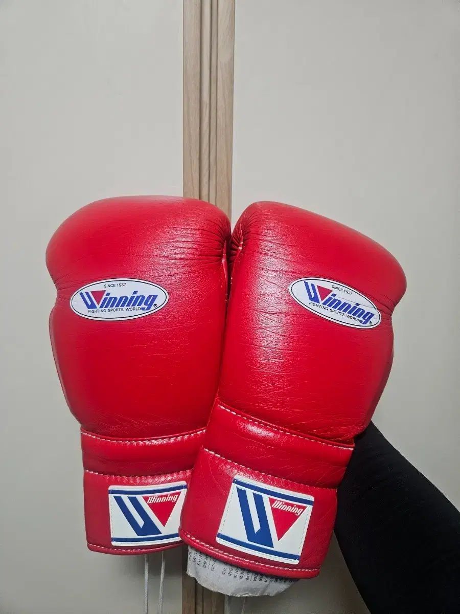 ウィニング グローブ 14オンス - メルカリ