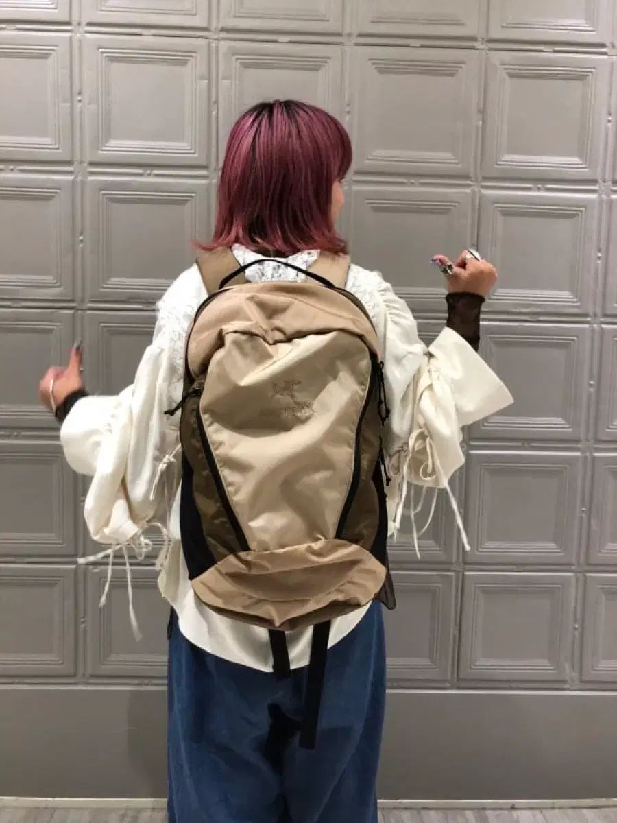 ビームス ボーイ × アークテリクス メンティス 26