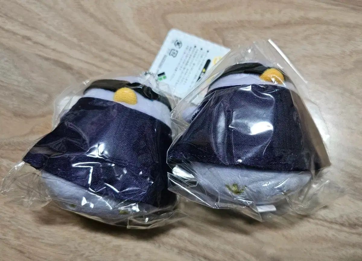 高級品種！　稀少　ハオルチア　白蛇伝　カキ仔　発送方法ご希望通りに♪ 高級品種！ 稀少 ハオルチア 白蛇伝 カキ仔 発送方法ご希望通りに♪