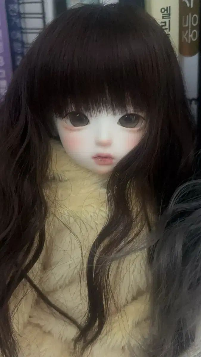 LINA chou COOKY 本体 ルーツ L エル HEAD 旧官球体関節人形 usd