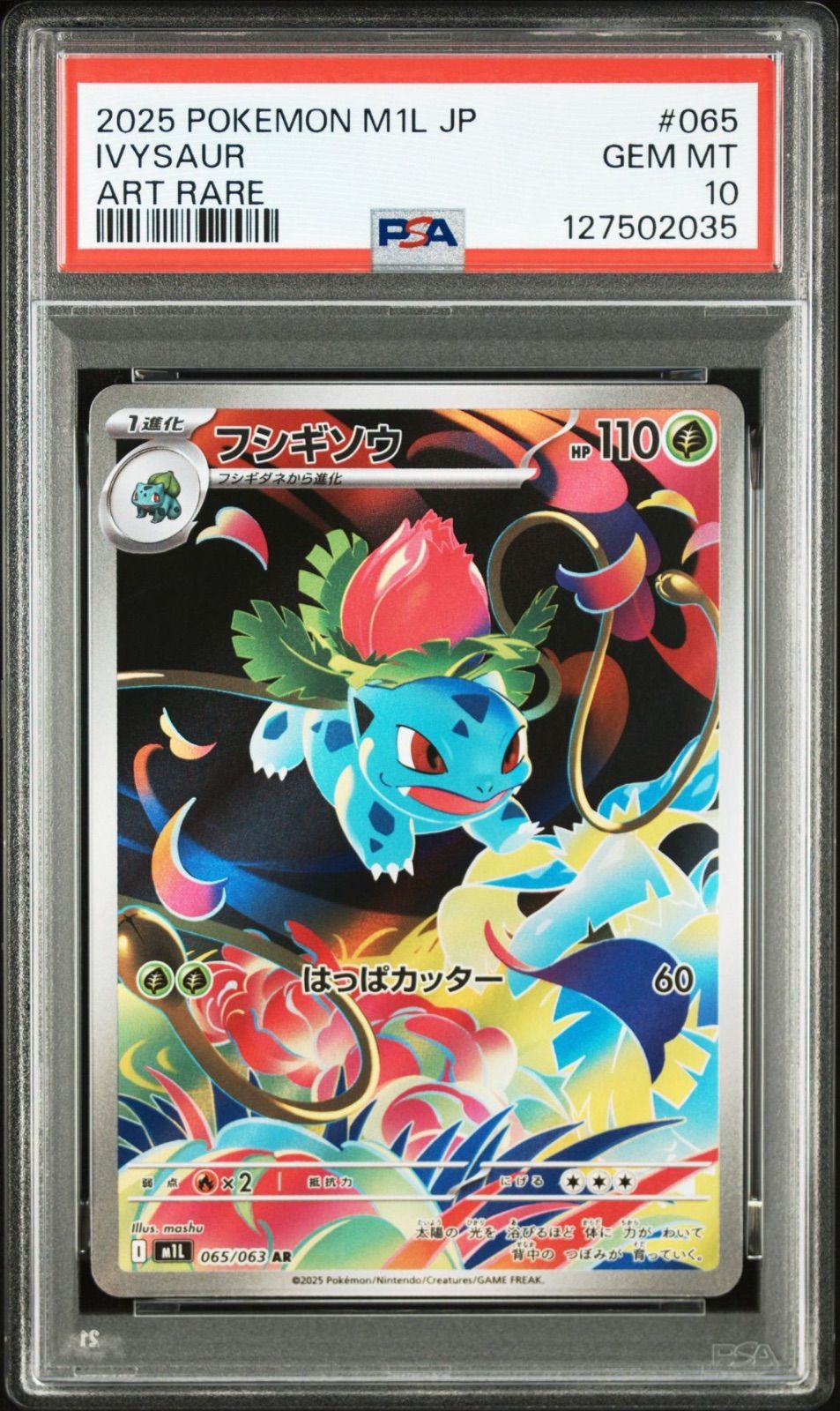 PSA10】進化ライン3連番 - メルカリ