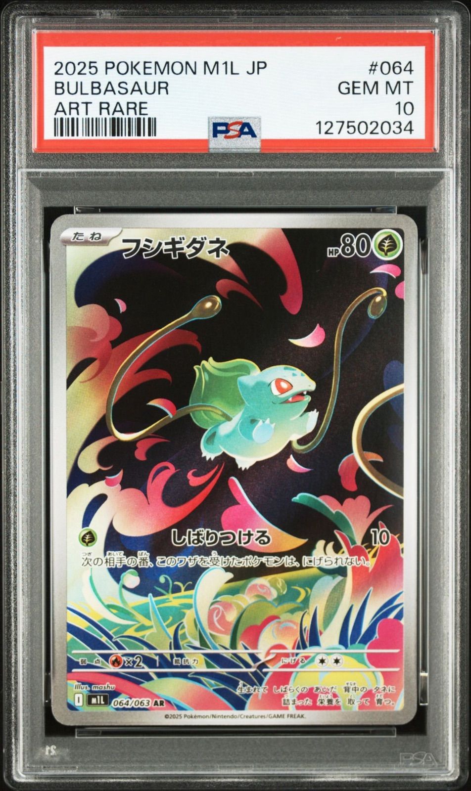 PSA10】進化ライン3連番