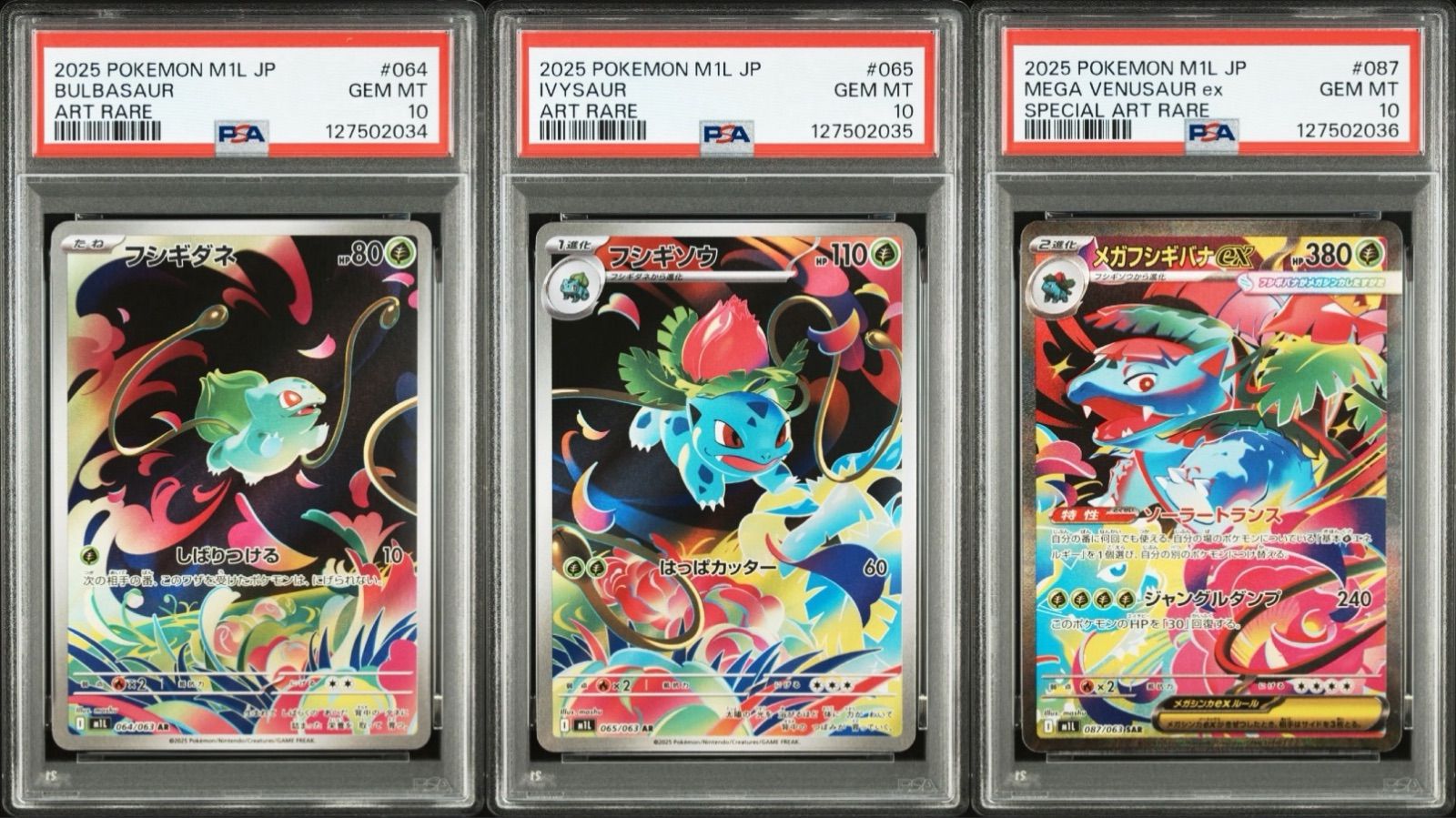 PSA10】進化ライン3連番 - メルカリ