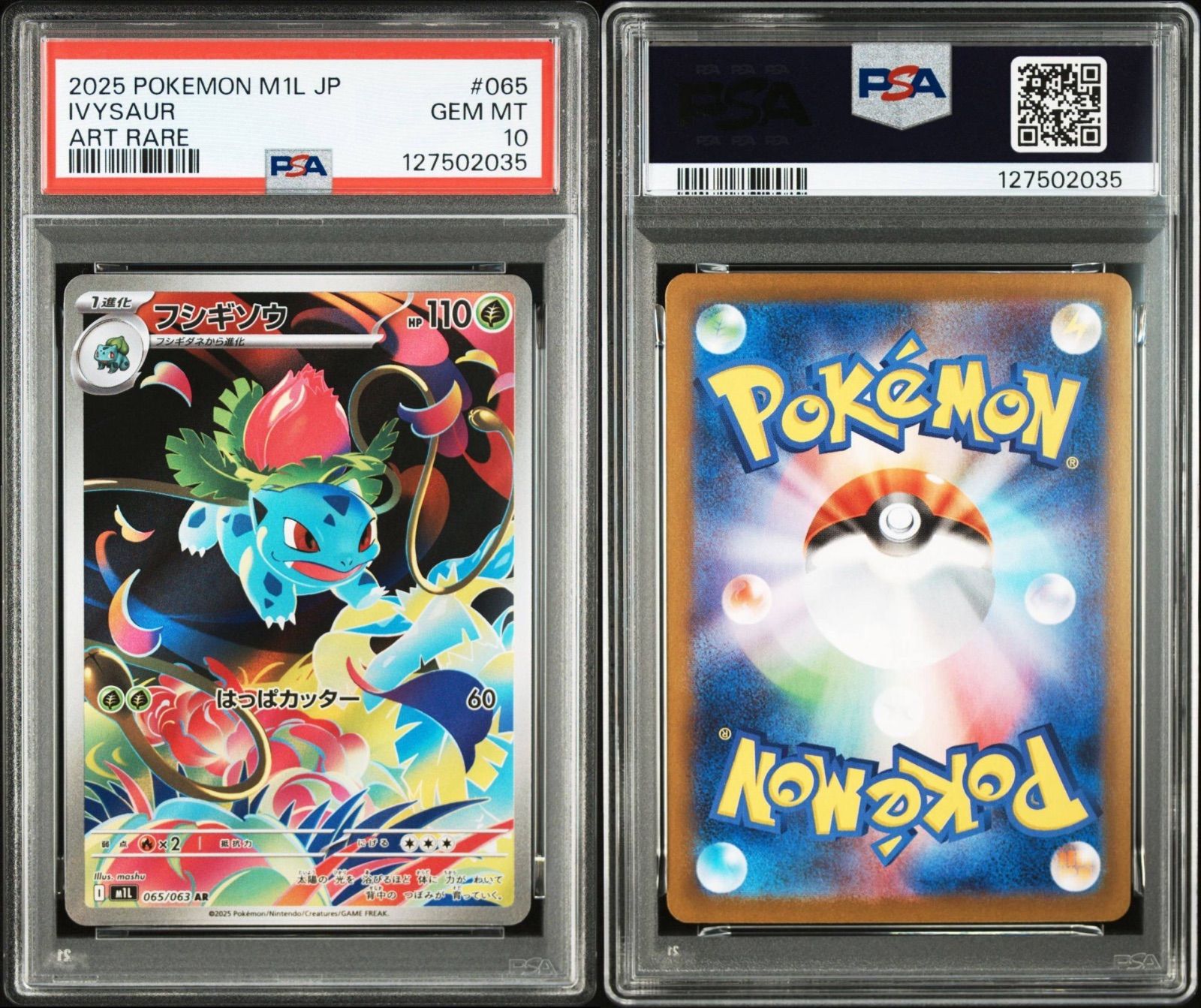 PSA10】進化ライン3連番 - メルカリ