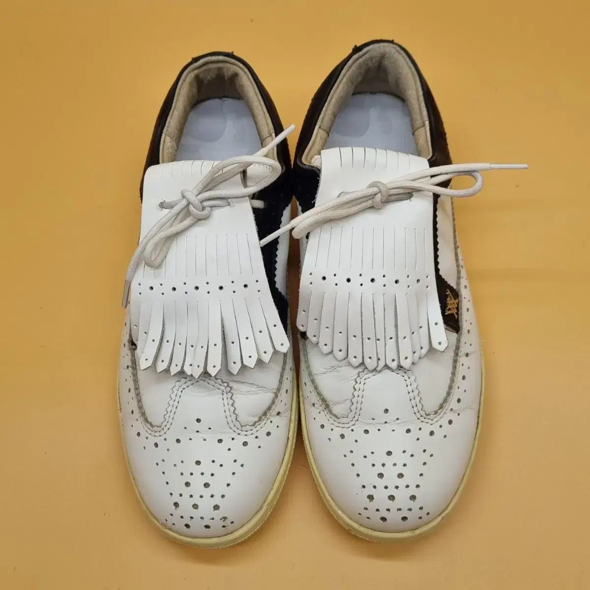 アニュー タッセル サンフラワー レディースゴルフシューズ 240