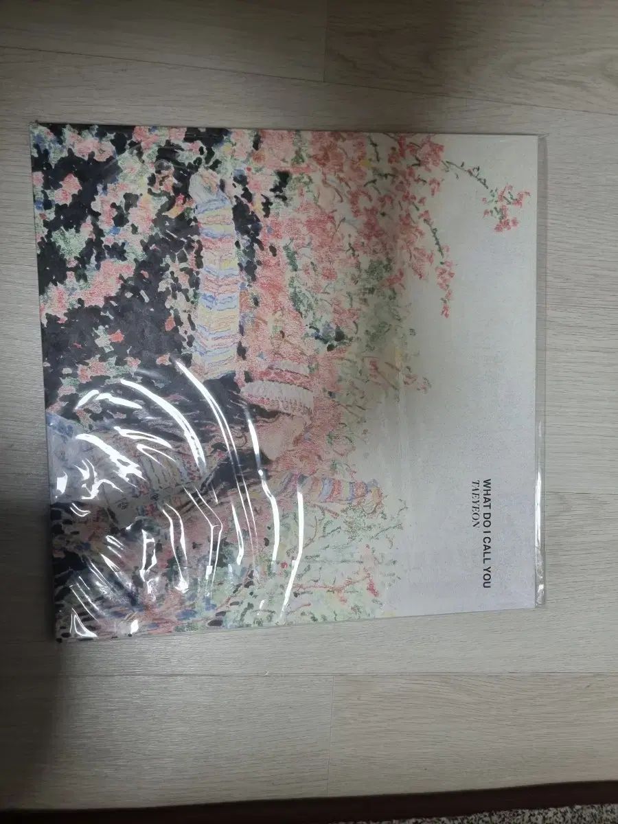 テヨン TAEYEON 盤 lp what do I call you アコースティックギター その他 