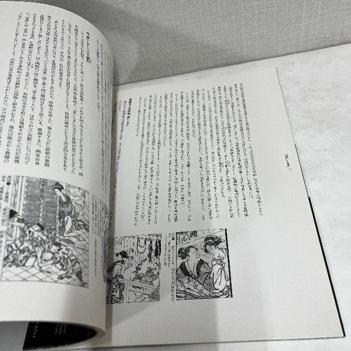 定本 浮世絵春画名品集成7 葛飾北斎 東にしき 大判錦絵秘画帖 林美一