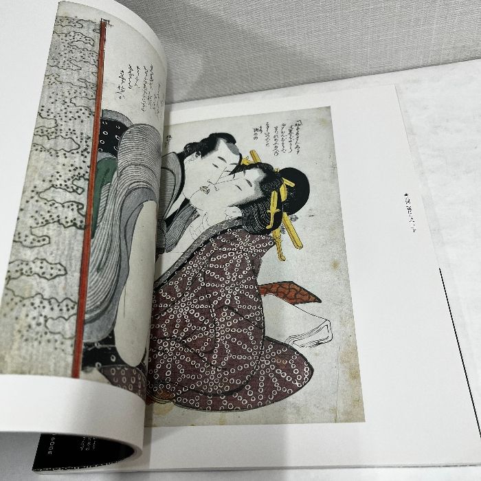 定本 浮世絵春画名品集成7 葛飾北斎 東にしき 大判錦絵秘画帖 林美一