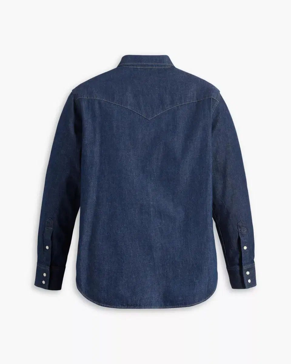 リーバイス チュジェ着用 54 ロングホーン シャツ