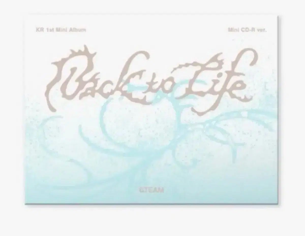 ＆TEAM プロモアルバム 非売品 サイン入り Back to Life レア - メルカリ