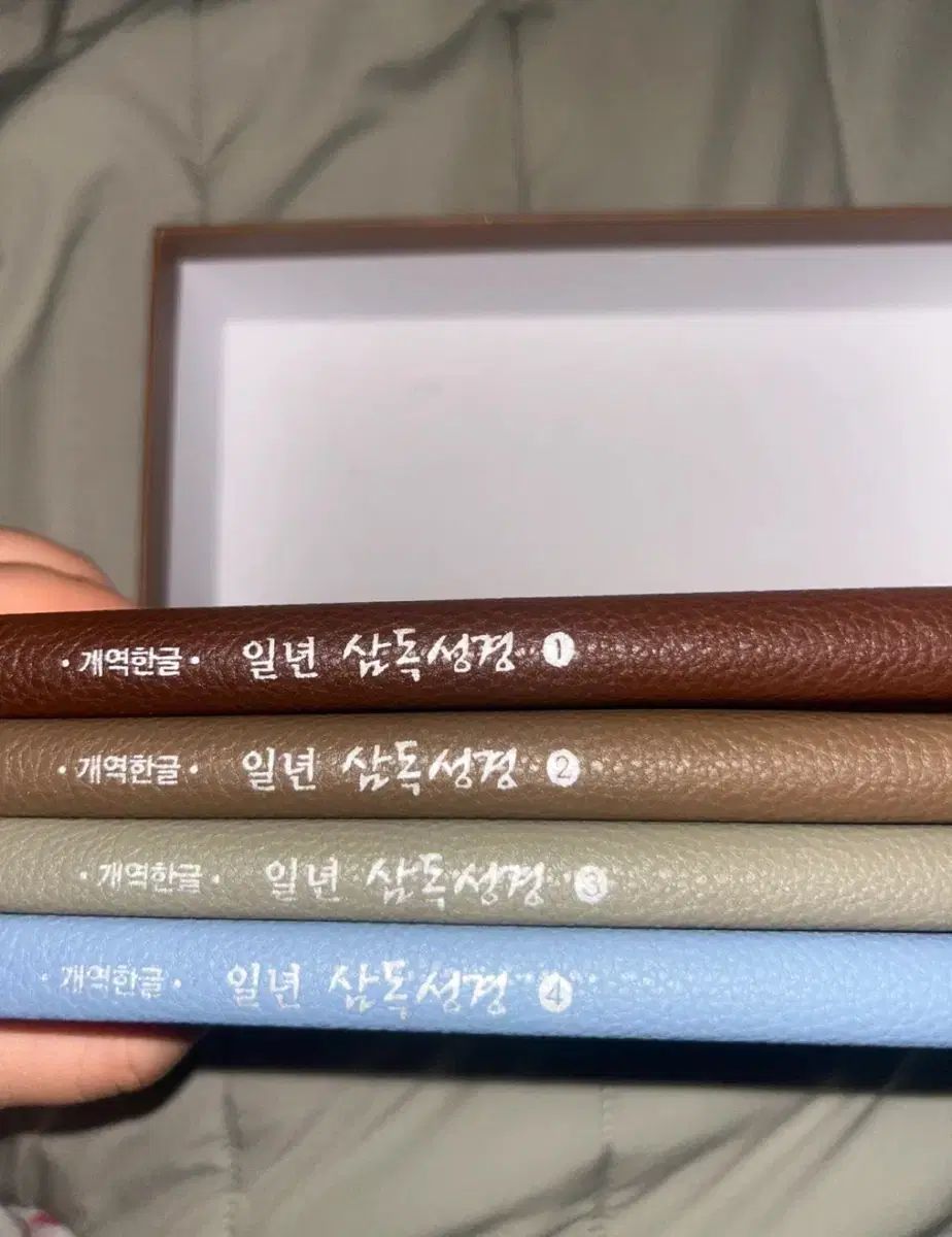 一年三読聖書 h 5 新