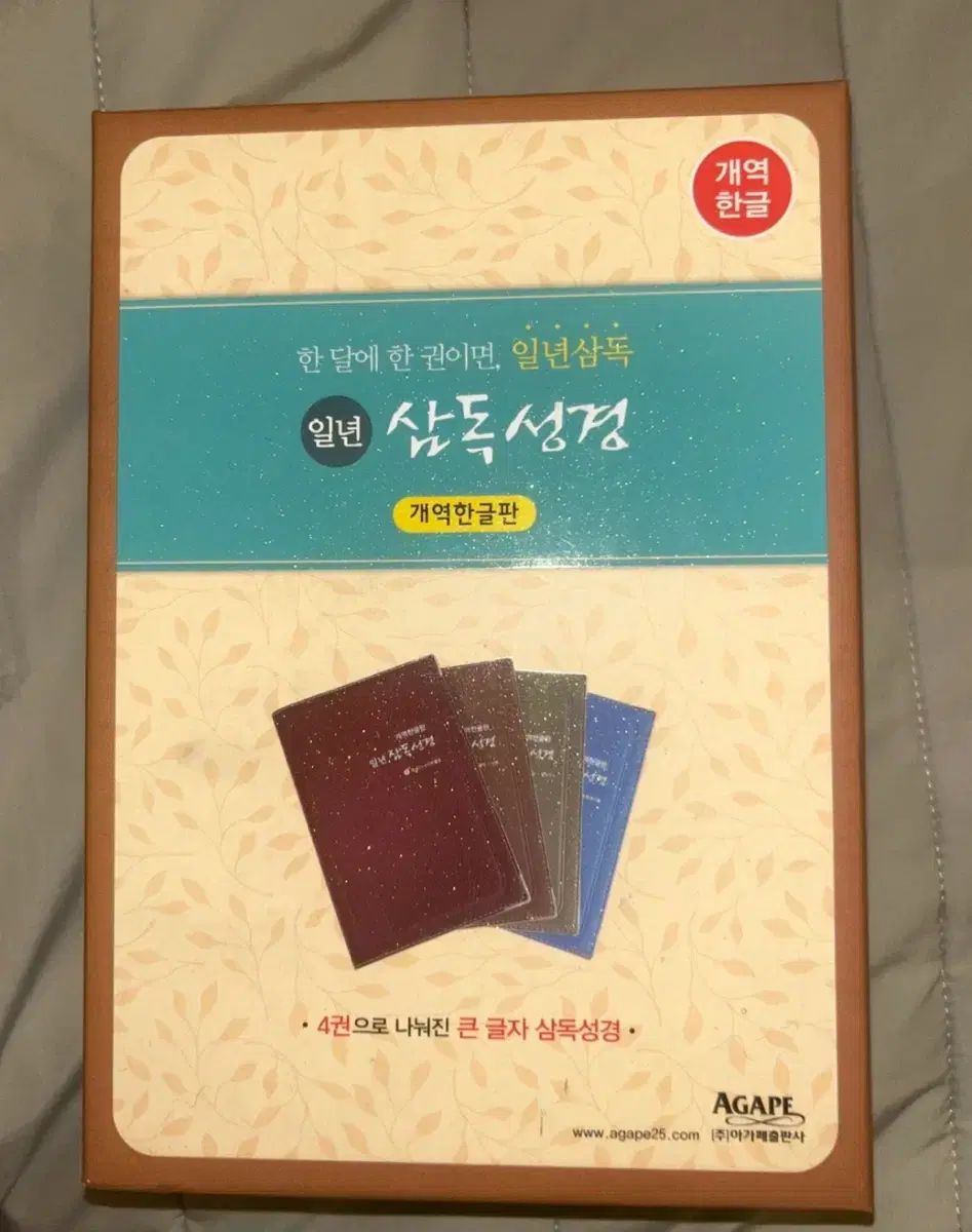 一年三読聖書 h 5 新